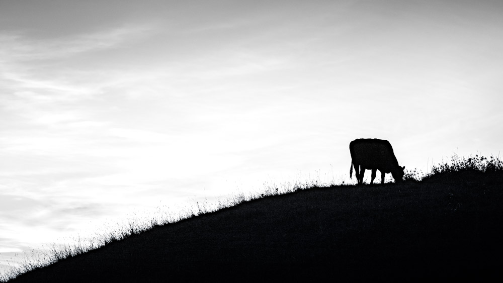 Platz 10 Anton Kienle